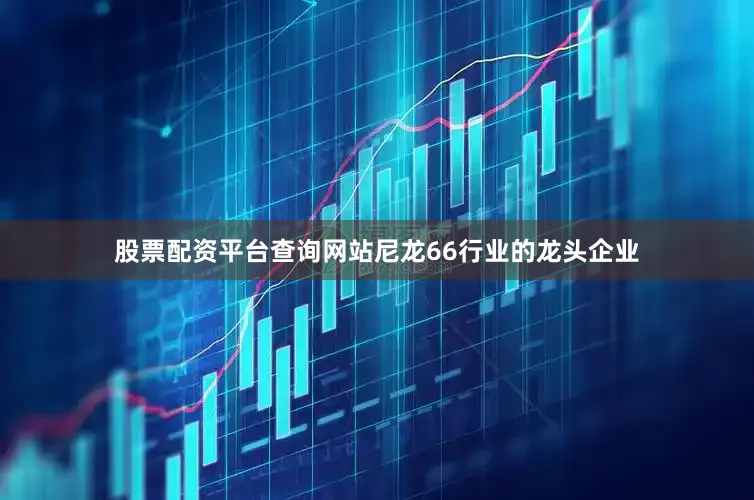 股票配资平台查询网站尼龙66行业的龙头企业