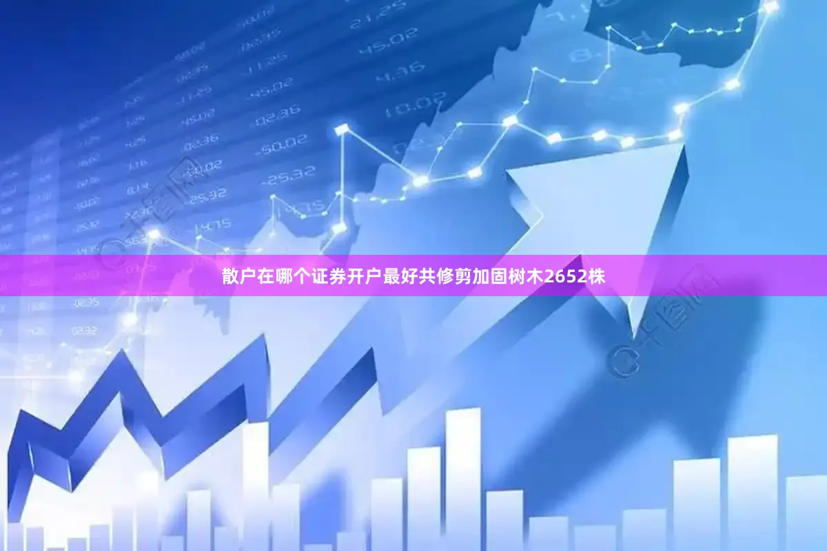 散户在哪个证券开户最好共修剪加固树木2652株